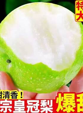 青皮梨子新鲜水果非砀山青梨皇冠梨当季翠冠梨香酥脆蜜早雪梨