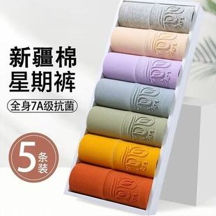 底裤 5条装 三角裤 全棉内裤 女士纯棉抗菌高腰收腹提臀透气胖MM大码