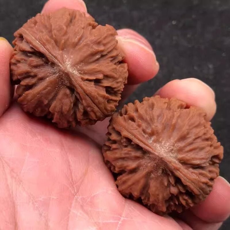文玩核桃秦岭闷尖磨盘西瓜灯笼狮子头油性大皮质好高密度盘玩把件