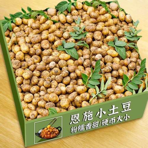 黄皮小土豆新鲜马铃薯