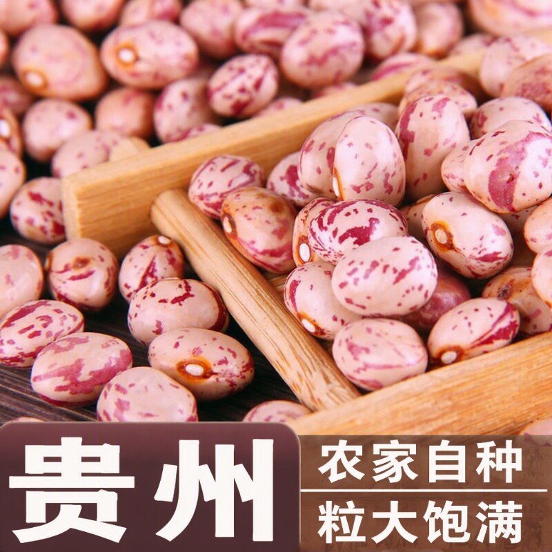 新货奶花芸豆花豆雀蛋豆3斤花生豆奶白花芸豆自种农家自种精选