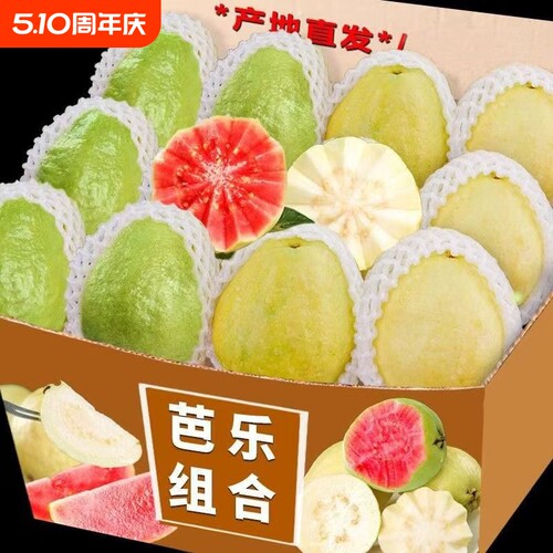 香软芭乐红白双拼红心草莓白心奶油大番石榴广西福建低糖水果包邮