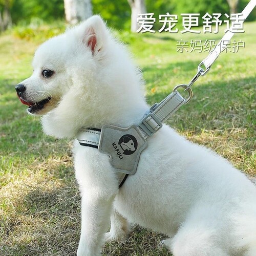 狗狗胸背带牵引绳中小型犬法斗柯基柴犬脖圈幼犬y型狗狗胸背