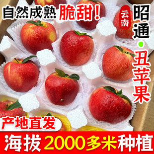 云南昭通市丑苹果红露水果新鲜当季红富士冰糖心脆甜苹果一整箱