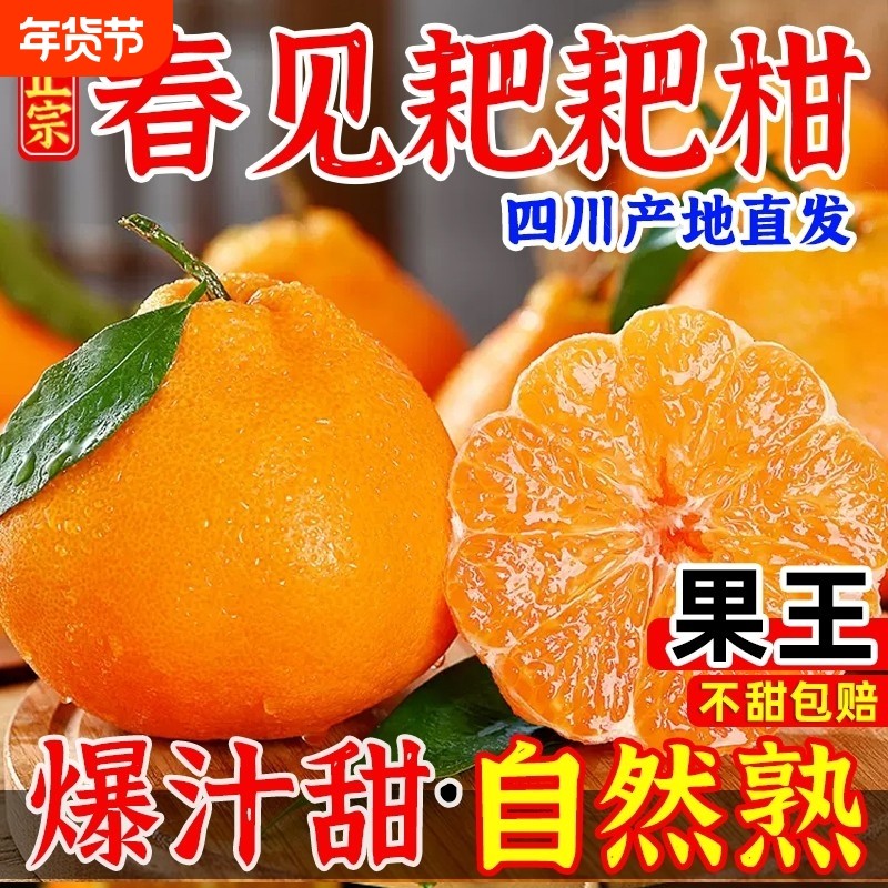 四川春见耙耙柑粑粑柑10斤新鲜水果橘子当季整箱杷杷柑特大果无籽,水产肉类/新鲜蔬果/熟食,桔子,淘宝优惠券,粉丝福利购,淘宝优惠卷