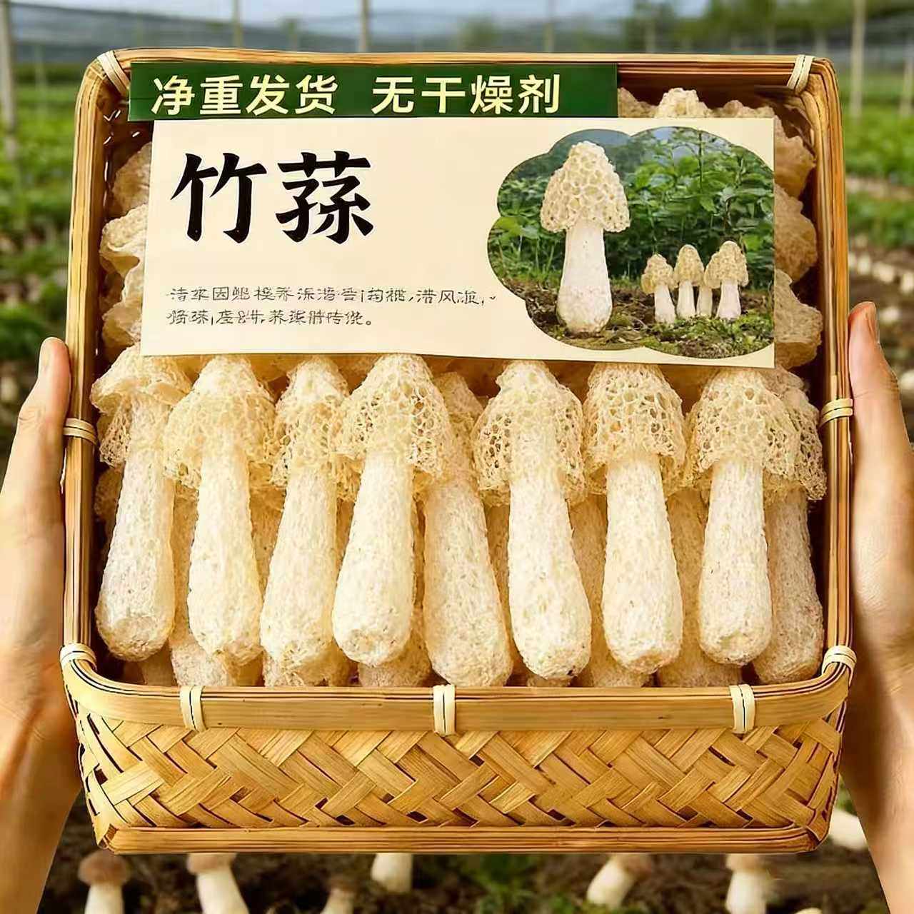 产地直发古田竹荪干货农家新鲜菌菇批发煲汤商用10红枣枸杞原味