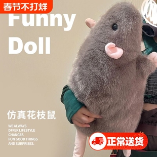 仿真花枝鼠玩偶抱枕搞怪大老鼠毛绒公仔豚鼠娃娃女生男友生日礼物