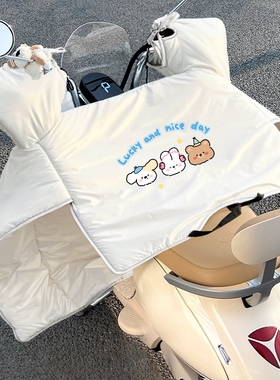 电动车挡风被冬季四季通用电瓶摩托车双面防水防雨挡风罩2025新款