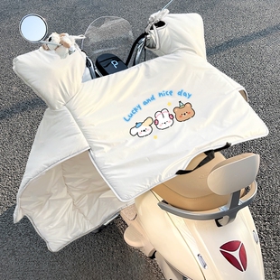 通用电瓶摩托车双面防水防雨挡风罩2025新款 四季 电动车挡风被冬季