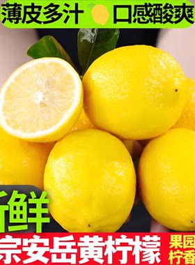 安岳黄柠檬当季新果薄皮多汁切片