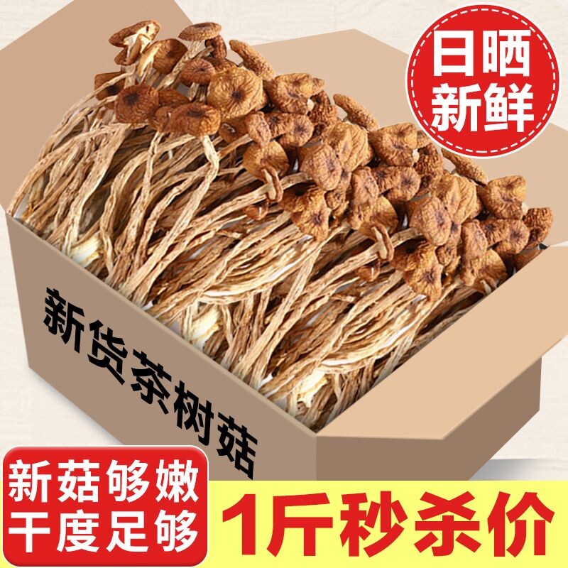茶树菇干货不开伞农家特产干批发香菌菇炒菜炖汤食材煲汤优质炒肉