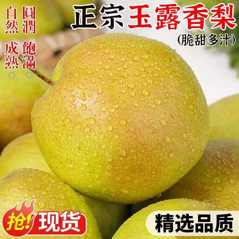 山西隰县玉露香梨现摘梨子新鲜水果当季香梨雪梨大果整箱装,水产肉类/新鲜蔬果/熟食,梨,淘宝优惠券,粉丝福利购,淘宝优惠卷