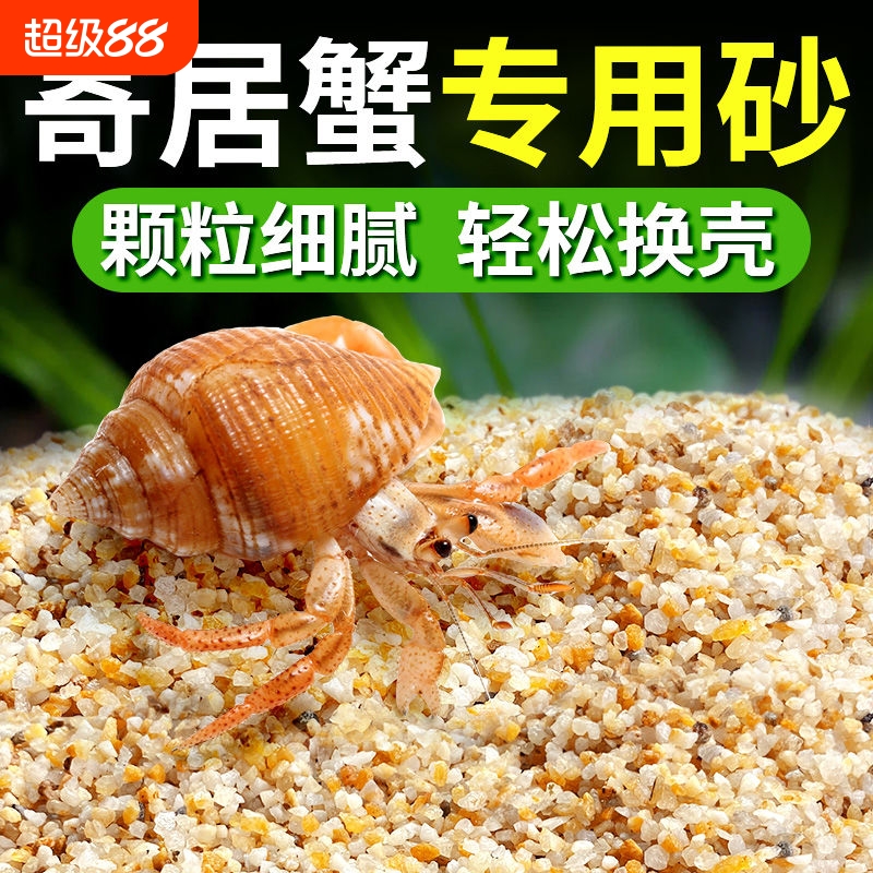 【新品首发】免洗海沙寄居蟹专用沙鱼缸底砂水草螃蟹底沙石纯天然