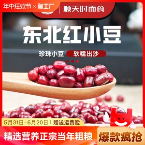 东北红小豆精选小红豆营养豆浆正宗当年新沙豆粗粮五谷杂粮赤小豆