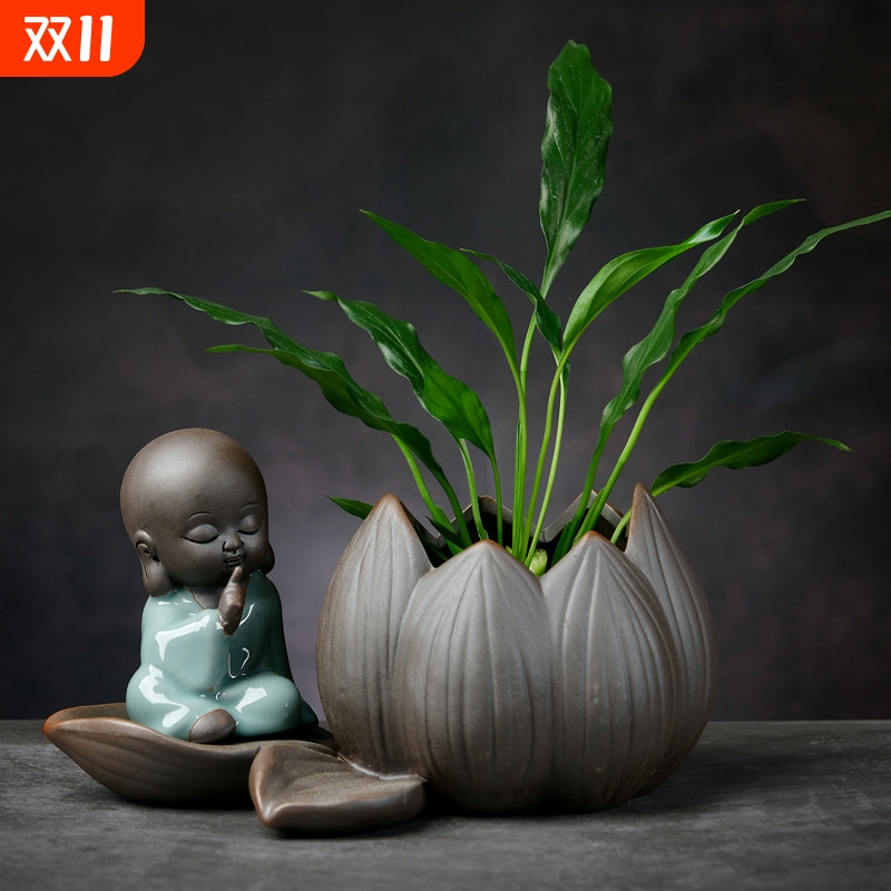 新中式禅意水培植物绿萝铜钱草紫砂花盆花瓶禅意陶瓷家居桌面花器