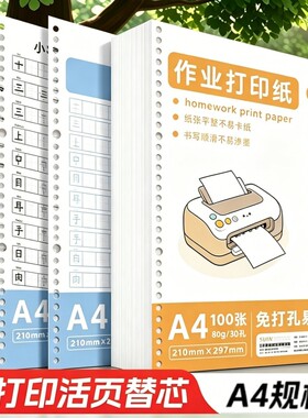 A4作业打印纸免打孔活页5包80克