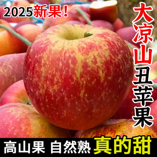 2026正宗大凉山冰糖心丑苹果新鲜水果应季红富士孕妇水果整箱