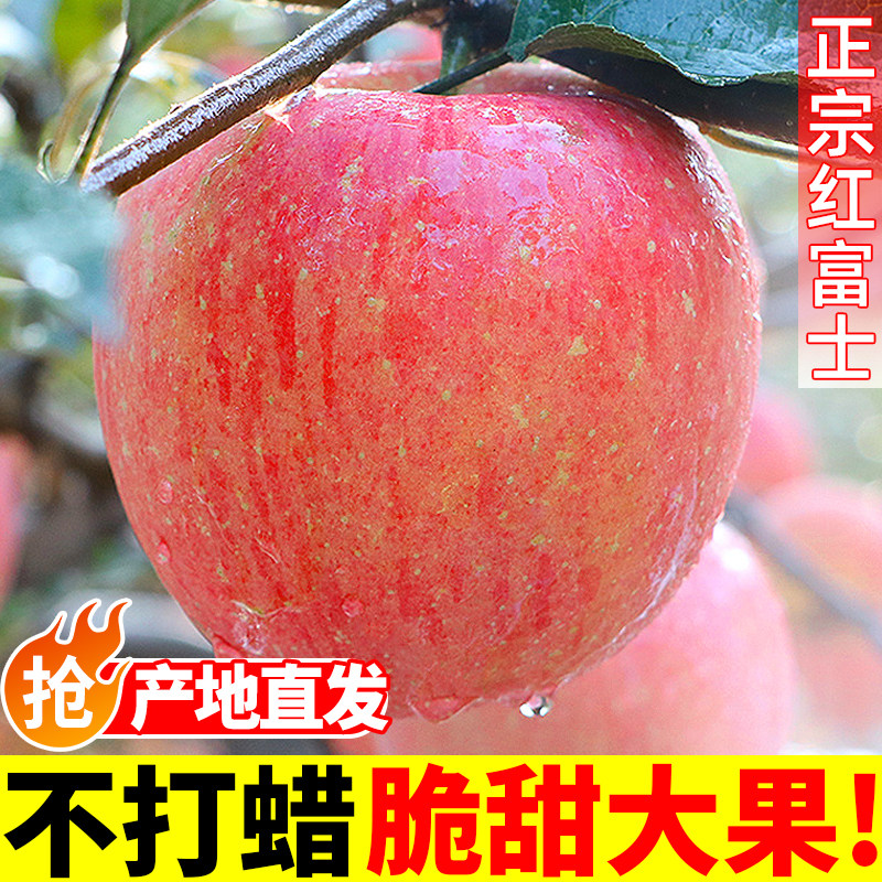 正宗红富士苹果新鲜当季现摘现发整箱冰糖心一级脆甜多汁包邮大果,水产肉类/新鲜蔬果/熟食,苹果,淘宝优惠券,粉丝福利购,淘宝优惠卷