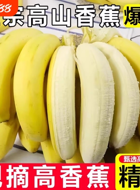 高山青皮甜香蕉无添加自然熟当季香蕉新鲜现摘现发绿蕉绿色香蕉