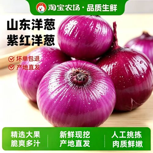 新鲜现挖  当季紫皮红洋葱深紫色生吃水果洋葱圆葱蔬菜批发包邮