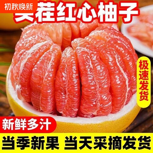 【老树】正宗平和红心红肉柚新鲜柚子超甜薄皮当季时令水果孕妇