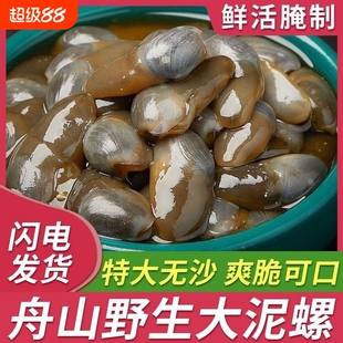 醉泥螺特大黄泥螺鲜活腌制潮汕生腌即食罐装舟山特产海鲜无沙新鲜