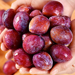 顺丰直达智利进口西梅鲜果新鲜李子当季水果整箱包邮应季孕妇