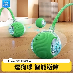 狗狗玩具自动遛狗球耐咬自嗨逗狗狗神器比熊小型犬宠物小狗突突球