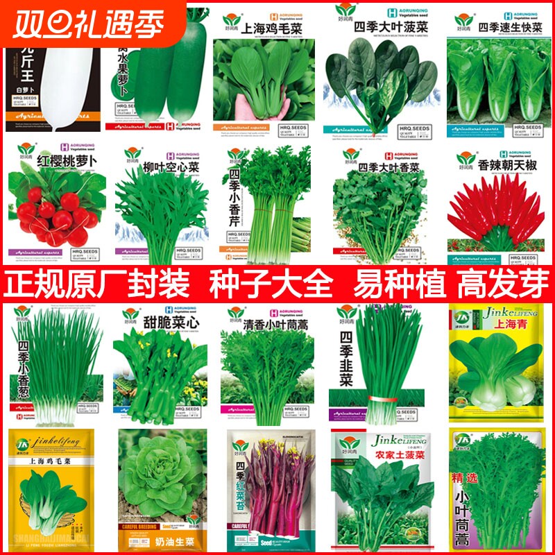 蔬菜种子大全鸡毛菜种子小油菜种籽小白菜四季瓜果籽盆栽庭院阳台