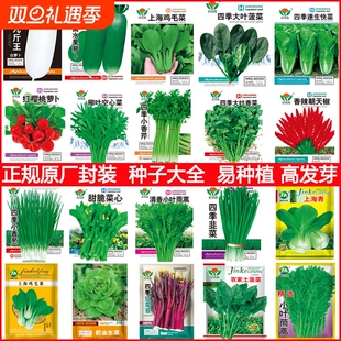 蔬菜种子大全鸡毛菜种子小油菜种籽小白菜四季 瓜果籽盆栽庭院阳台