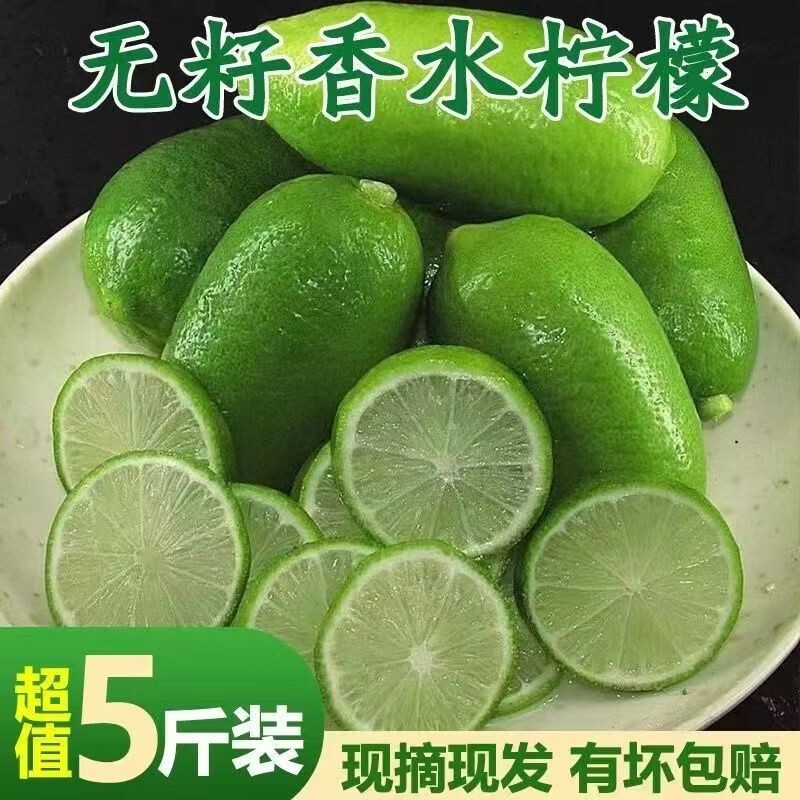 海南无籽香水青柠檬新鲜10斤子弹头当季水果薄皮小青柠奶茶店鲜果