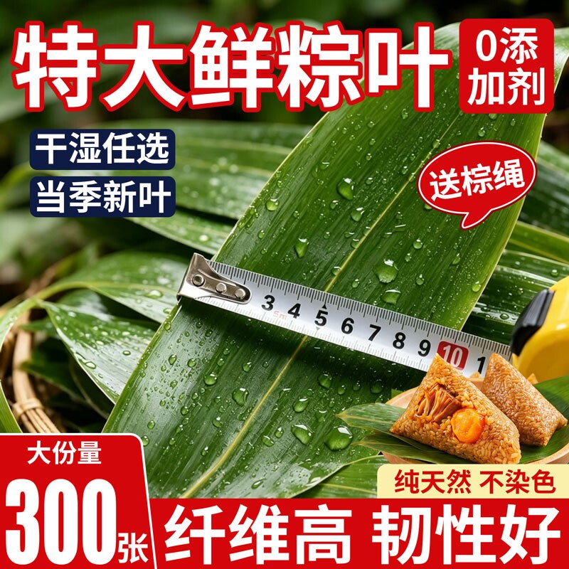 粽子叶新鲜粽叶大号新叶包粽子专用的叶子端午节商用批发干粽叶大