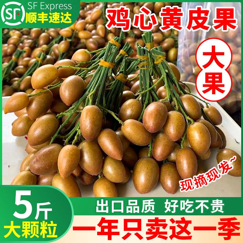 顺丰冷链广东鸡心黄皮果新鲜5斤冰3糖8当季现摘黄弹子水果孕无核