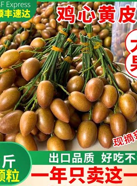 顺丰冷链广东鸡心黄皮果酸甜黄弹