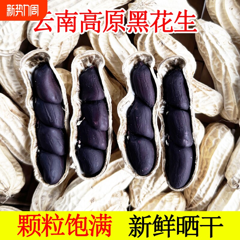 富硒黑花生带壳2025云南普洱特产晒干生熟花生米新货黑皮花生米