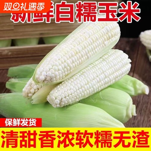 白糯牛奶玉米新鲜现摘现发
