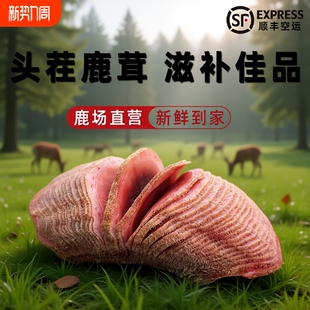 东北梅花鹿茸中段鹿茸片正品 新鲜鹿茸整根带血鹿茸泡酒专用中药材