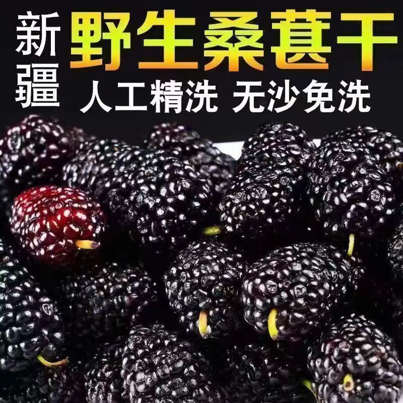 新货桑葚干头茬野生新疆免洗无沙桑椹干大颗粒泡茶泡水即食用