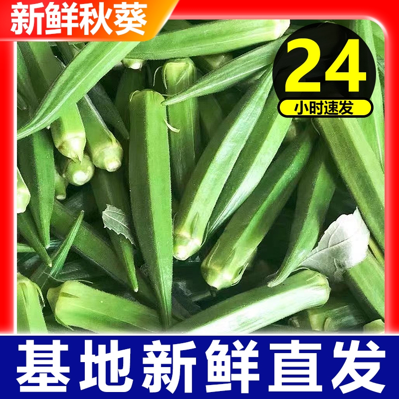 新鲜现摘秋葵5斤福建蔬菜凉拌菜整箱包邮