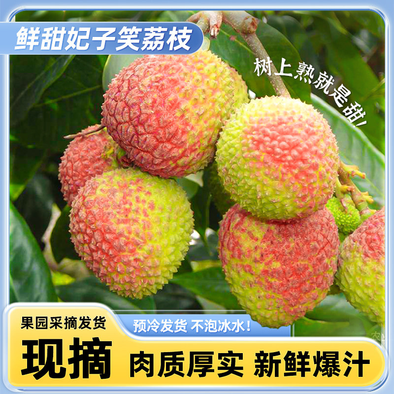顺丰新鲜妃子笑荔枝热带水果爆甜多汁核小肉多3/5斤整箱批发当季