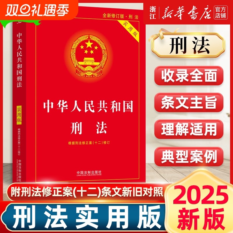 刑法实用版第十版2024新版