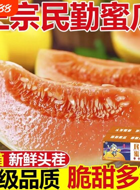 甘肃民勤蜜瓜沙漠甜瓜新鲜水果当季黄河香瓜金红宝整箱哈密瓜黄金