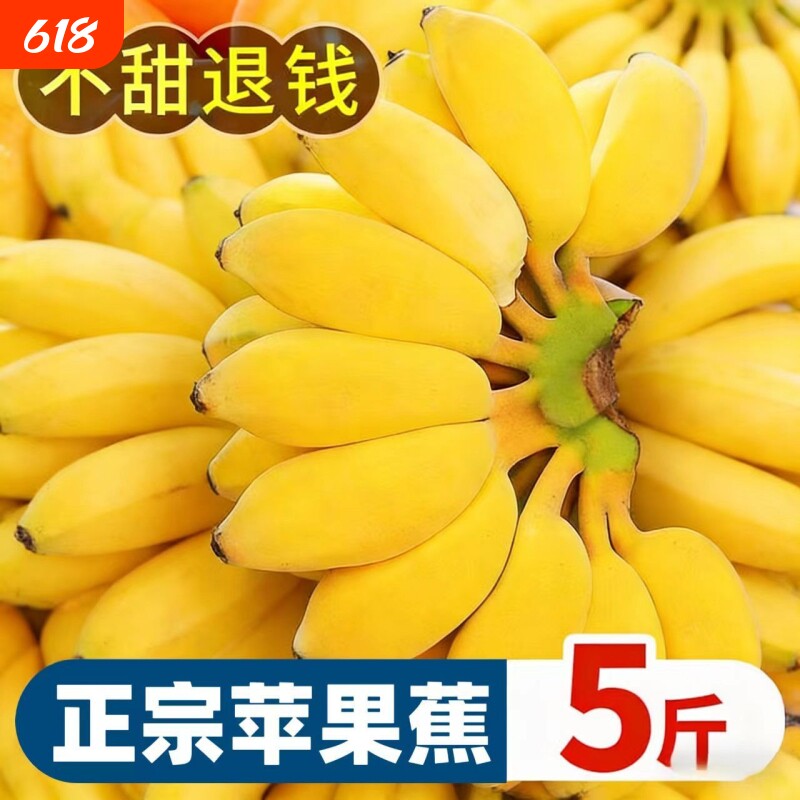 正宗广西苹果蕉国产粉蕉香甜产地直发广西小米小胖香蕉需催熟食用