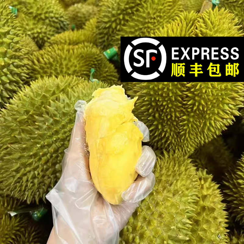 1.6斤果肉（800g）泰国诺卡吉新鲜冻肉果肉冷冻诺卡吉榴莲果肉