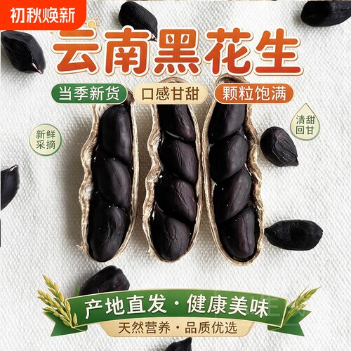 云南黑花生富硒普洱2026新货晒干种带壳黑皮花生米新鲜原味散装