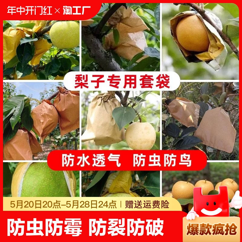 梨子套袋专用袋水果套袋果树防虫黄金梨套袋晚秋黄梨袋果袋秋月梨