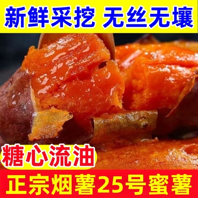 烟薯25号现挖甜蜜流油