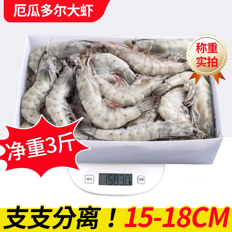 海虾对虾鲜活大虾1500g冷冻青岛海鲜生鲜冻虾白虾超大