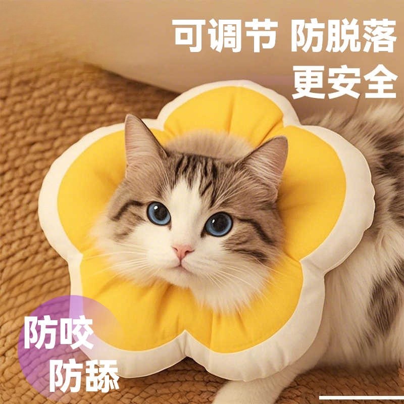 伊丽莎白圈猫绝育项圈防舔猫咪绝育项圈狗狗头套宠物驱虫伊脖圈
