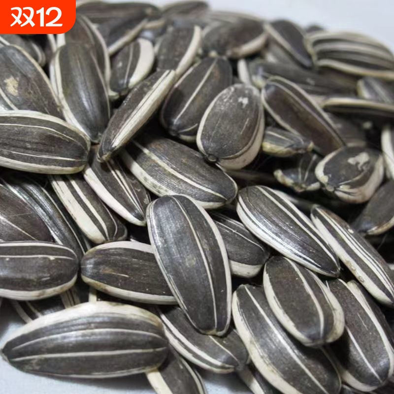 内蒙古内蒙炒熟新货葵花籽颗粒批发原味散装炒货葵花子零食瓜子